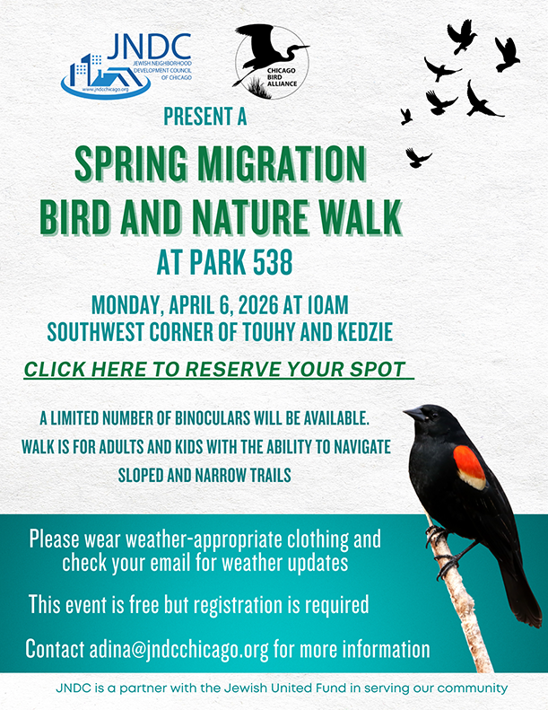 Spring migration bird and nature walk